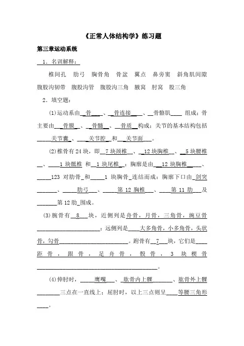 2运动系统练习题