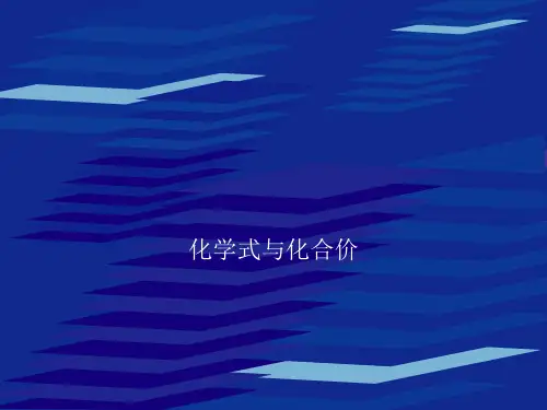 人教版九年级化学上册化学式