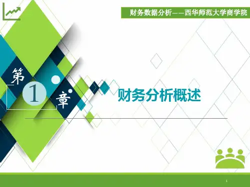 财务分析概述PPT48页