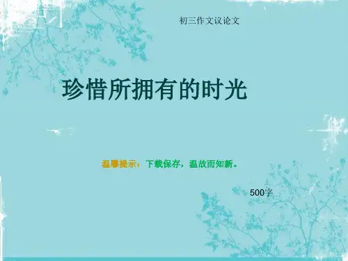 初三作文议论文《珍惜所拥有的时光》500字