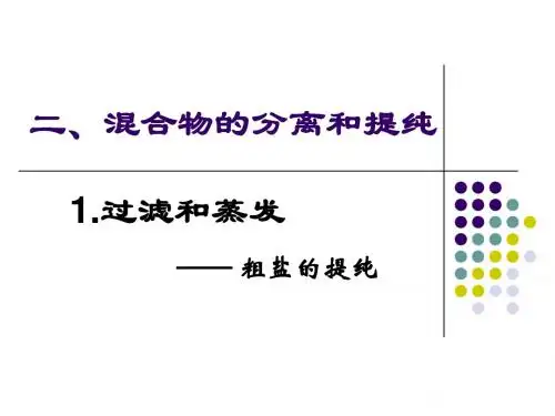化学实验第一节第二课时蒸发(过滤粗盐的提纯)