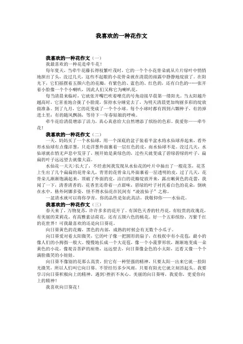 我喜欢的一种花作文