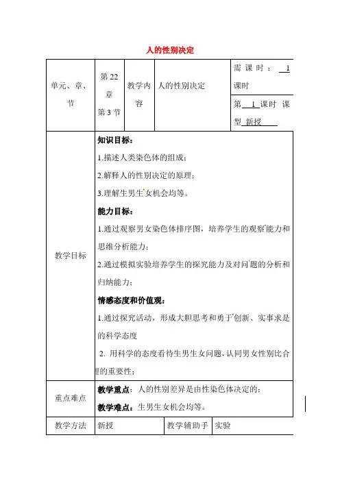 人的性别决定教案