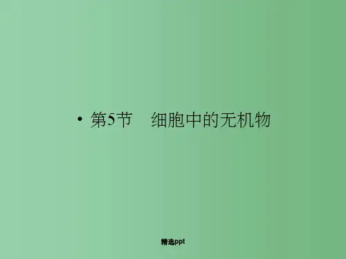 高一生物 2-5第5节 细胞中的无机物课件 新人教版