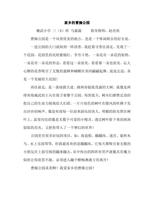 家乡的曹操公园