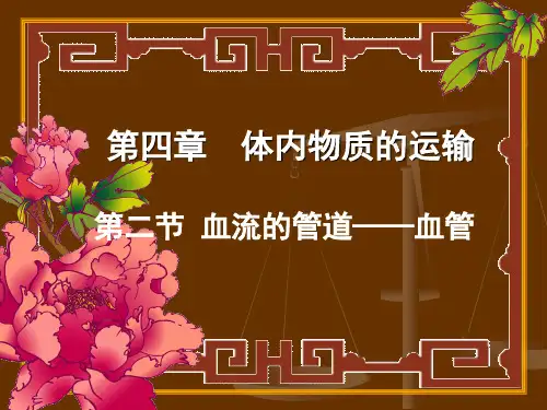 血流的管道——血管 PPT课件 人教版