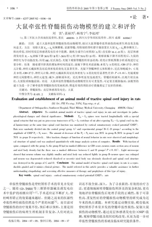 大鼠牵张性脊髓损伤动物模型的建立和评价