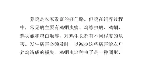 鸡六种常见病治疗方法