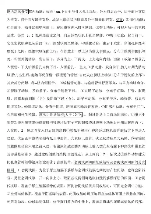 盆会阴解剖