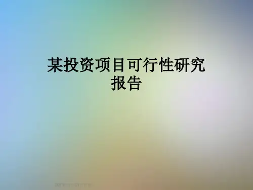 某投资项目可行性研究报告