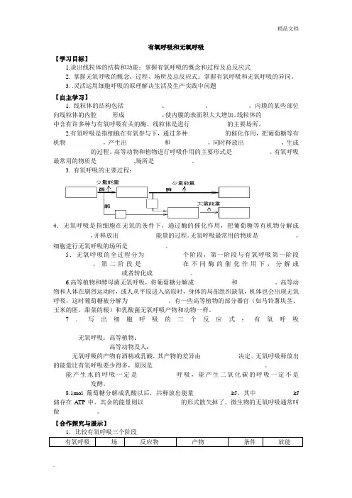有氧呼吸和无氧呼吸