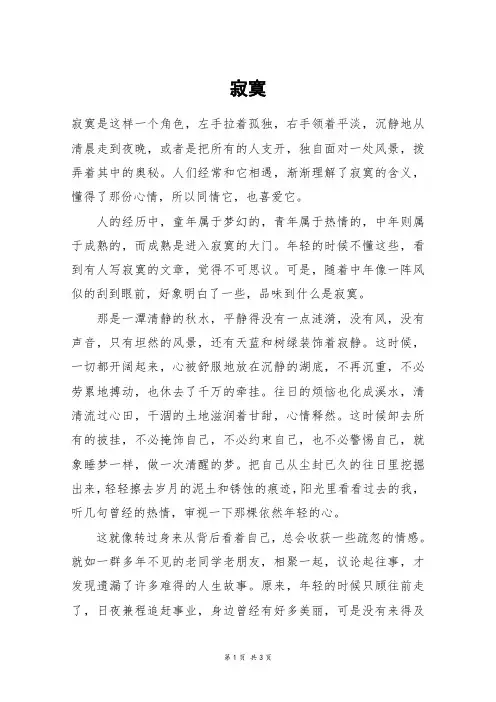 寂寞_高三作文