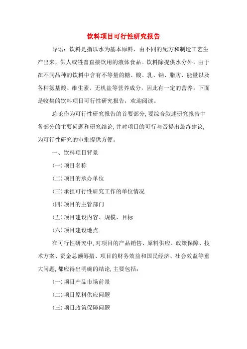 饮料项目可行性研究报告