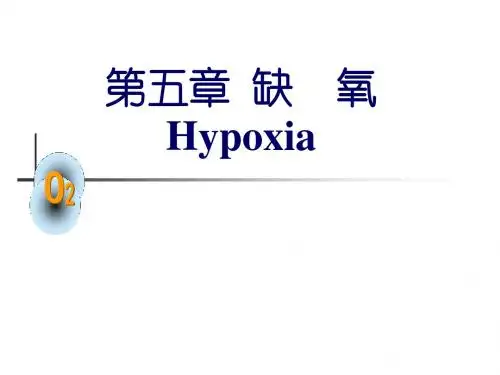 缺氧PPT