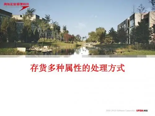 T6【存货多种属性的处理方式】