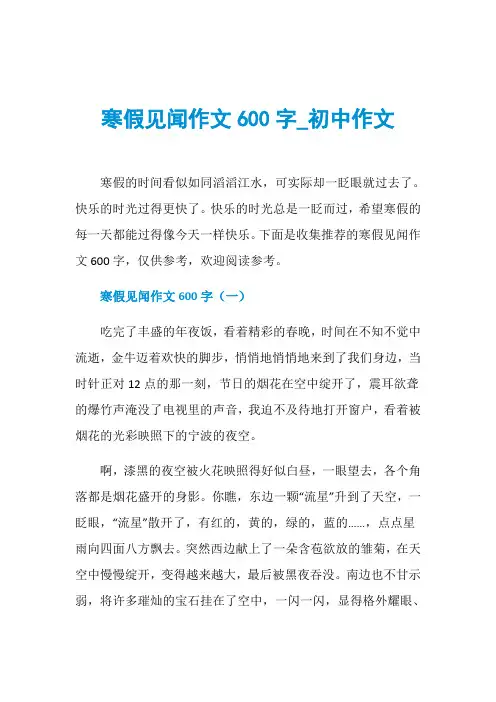 寒假见闻作文600字_初中作文