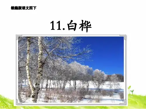 统编版四年级语文下册11.白桦-优课课件(2020春).ppt