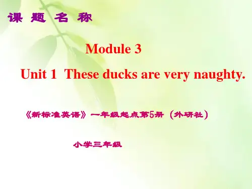 外研版英语(一起)三上Module 3《Unit 1 These ducks are very naughty》ppt课件2