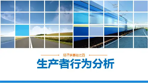 第4章 生产者行为分析