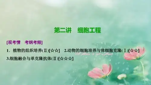 2018-2019高三生物(人教版)高考一轮复习课件：第十一单元 第二讲 细胞工程
