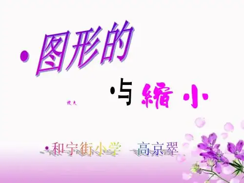 图形的放大与缩小