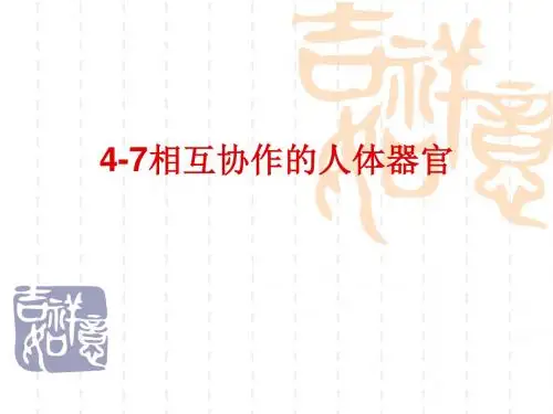 相互协作的人体器官