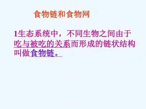 生物人教版七年级上册食物链与食物网