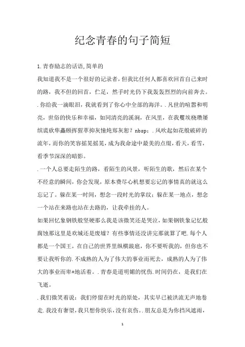 纪念青春的句子简短