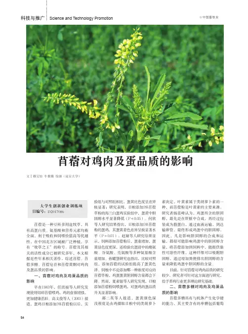 苜蓿对鸡肉及蛋品质的影响