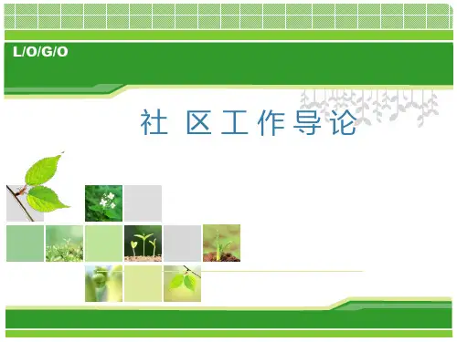 第二章西方国家社区工作理论与实践的历史回顾