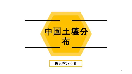 中国土壤分布ppt课件