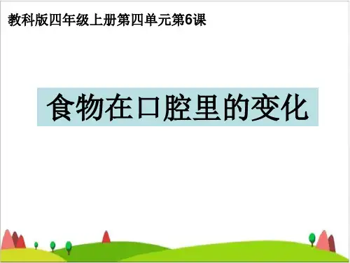四年级上册科学课件- 4.6 食物在口腔里的变化｜教科版 (共21张PPT)