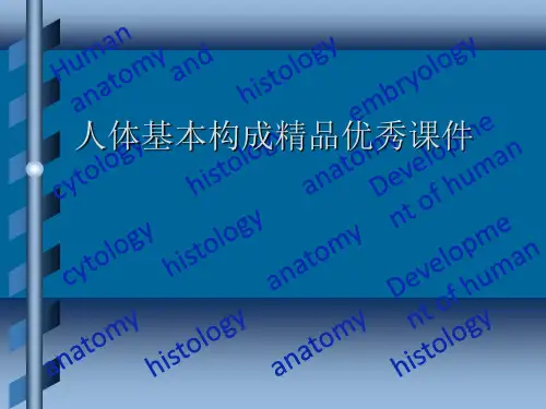 人体基本构成精品优秀课件