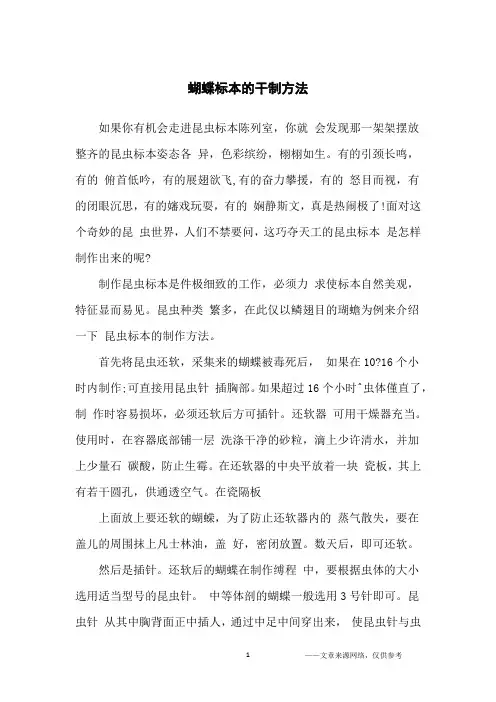 蝴蝶标本的干制方法_初中生