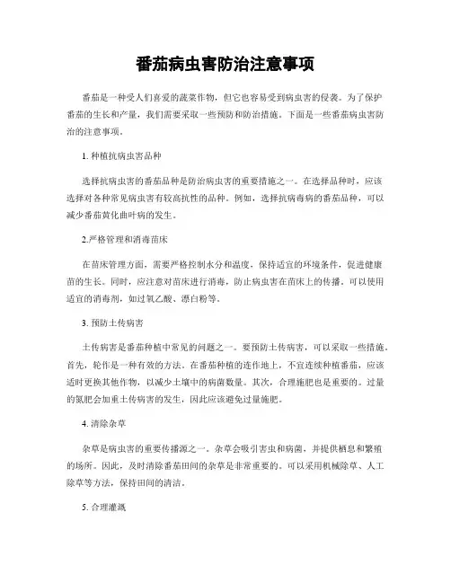 番茄病虫害防治注意事项