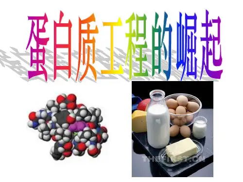 1.4蛋白质工程的崛起
