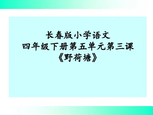长春版语文四年级下册《野荷塘》精品PPT课件