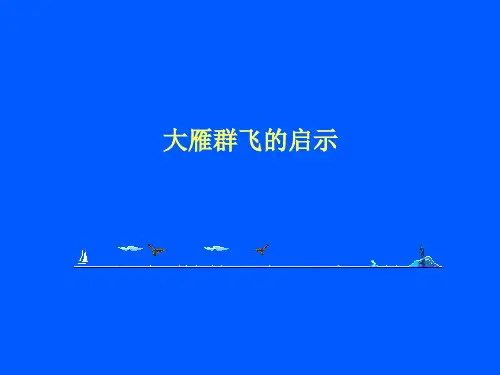 大雁群飞的启示