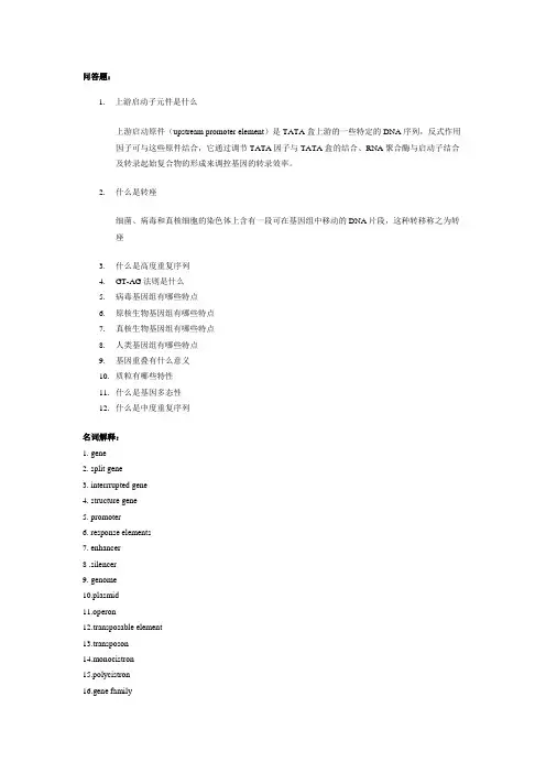 医学分子生物学 2