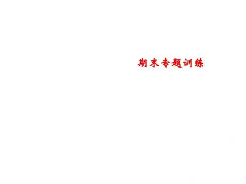 新人教部编版八年级语文上册期末专题训练 专题2