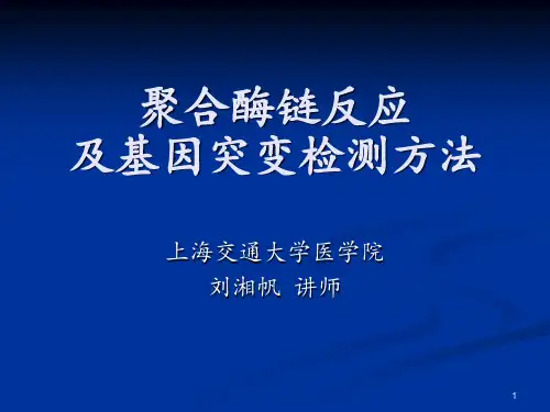 聚合酶链反应及基因突变检测方法