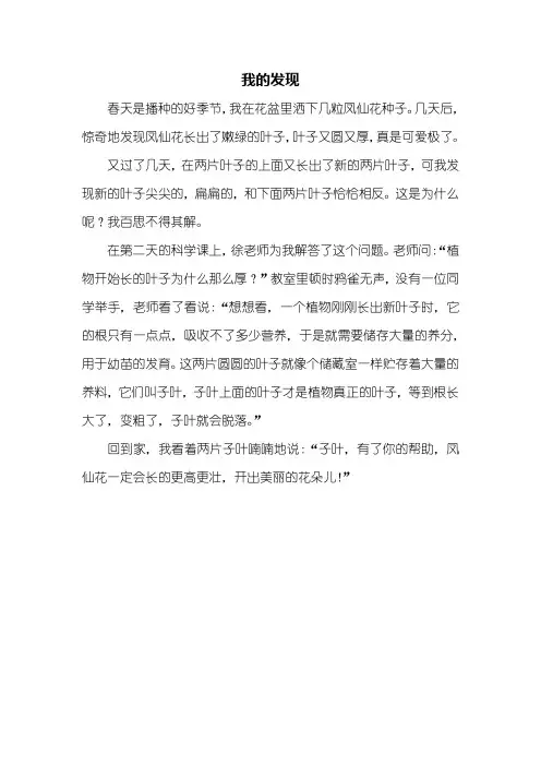 三年级作文：我的发现作文350字