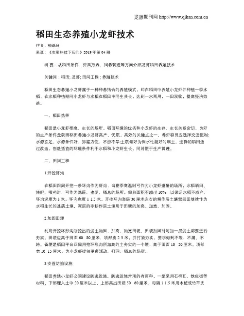 稻田生态养殖小龙虾技术