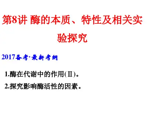 一轮复习酶的本质、特性和作用