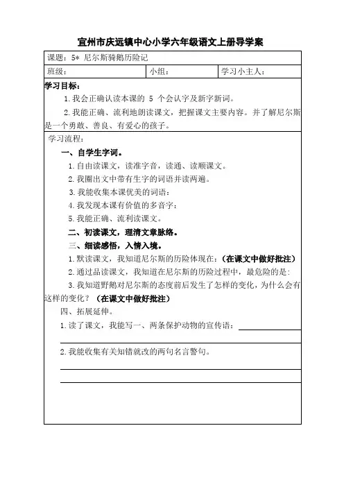 5.尼尔斯骑鹅历险记 2