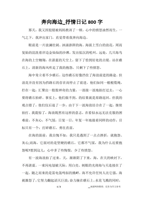奔向海边_抒情日记800字