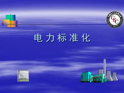 电力标准化