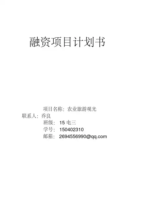 创业融资计划书