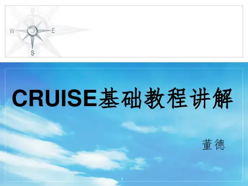 cruise详细教程(课堂PPT)