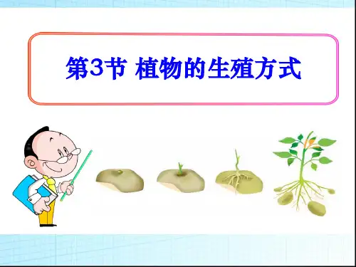 植物的生殖方式_PPT